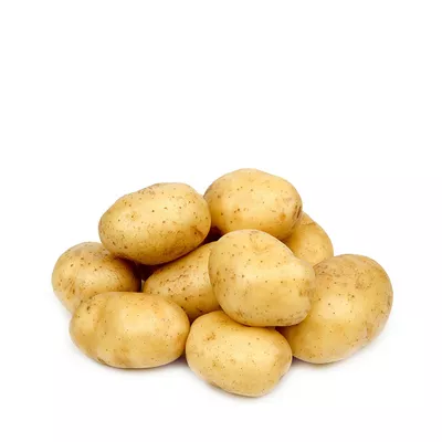 potato-regular-50-gm-1-kg